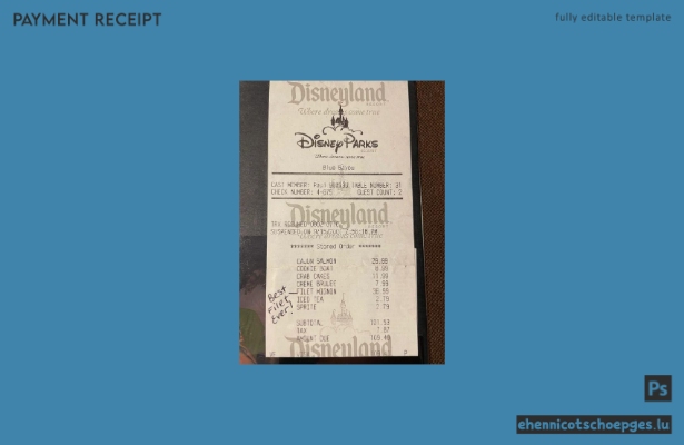 Beispiel für einen Zahlungsbeleg für den Disneyland Park (Vorschau)